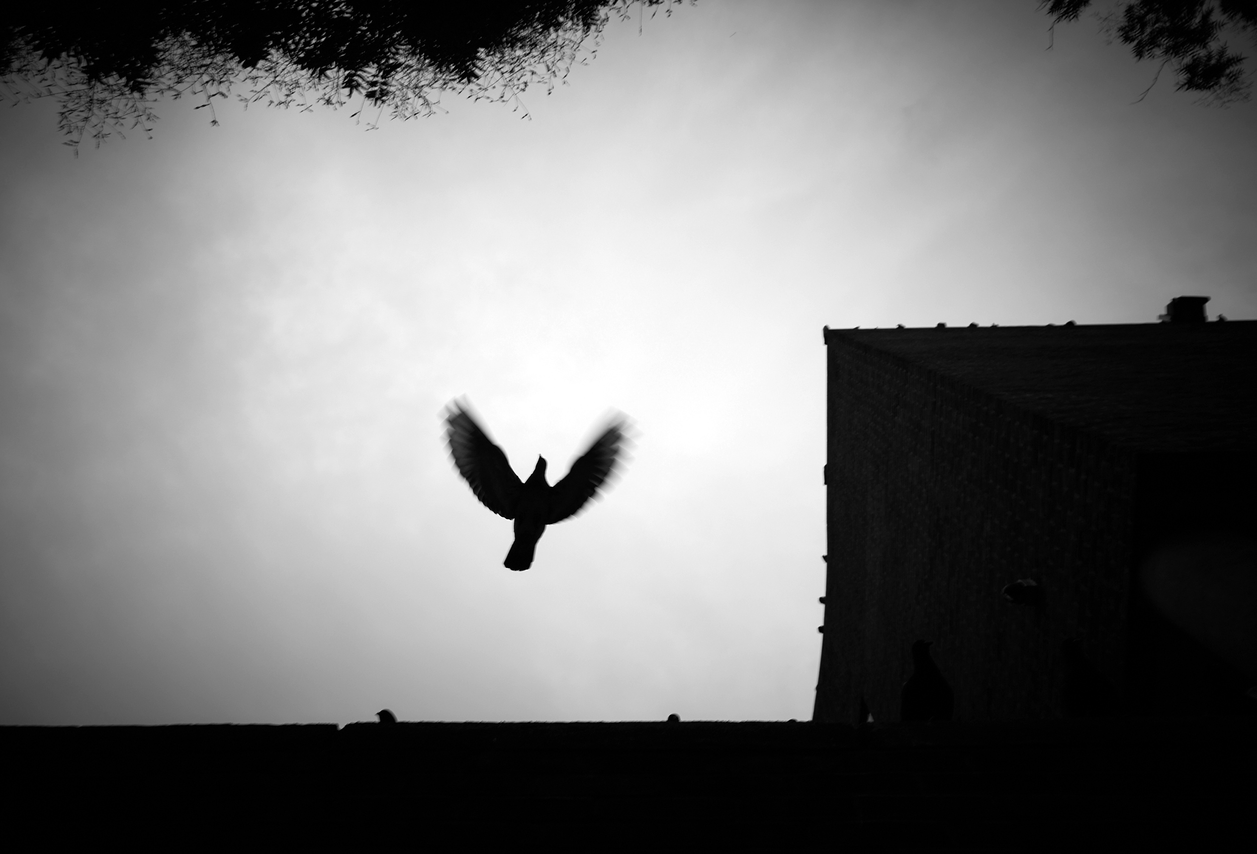 L1030256_CITY_WH