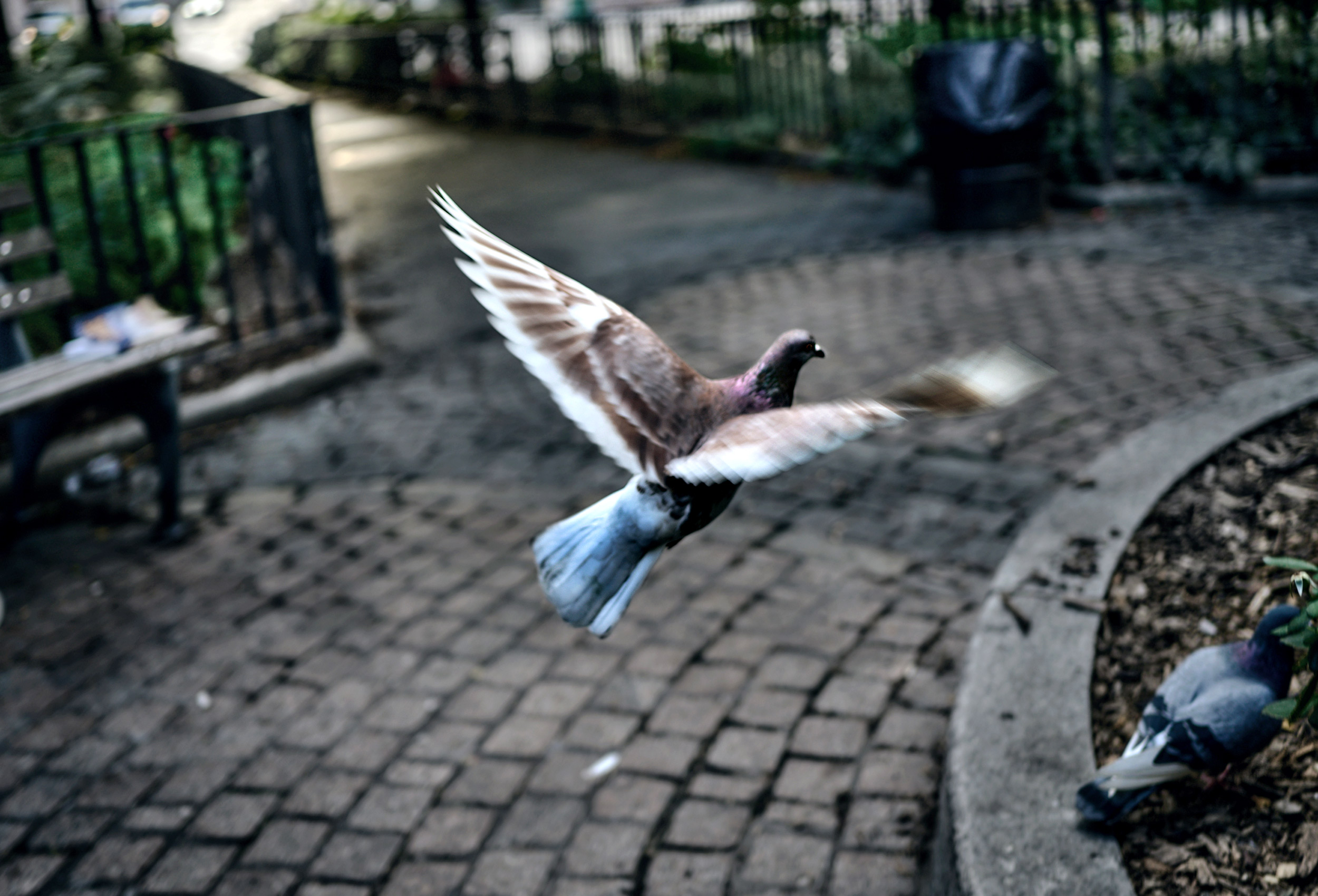 _DSC0037-2_CITY_WH